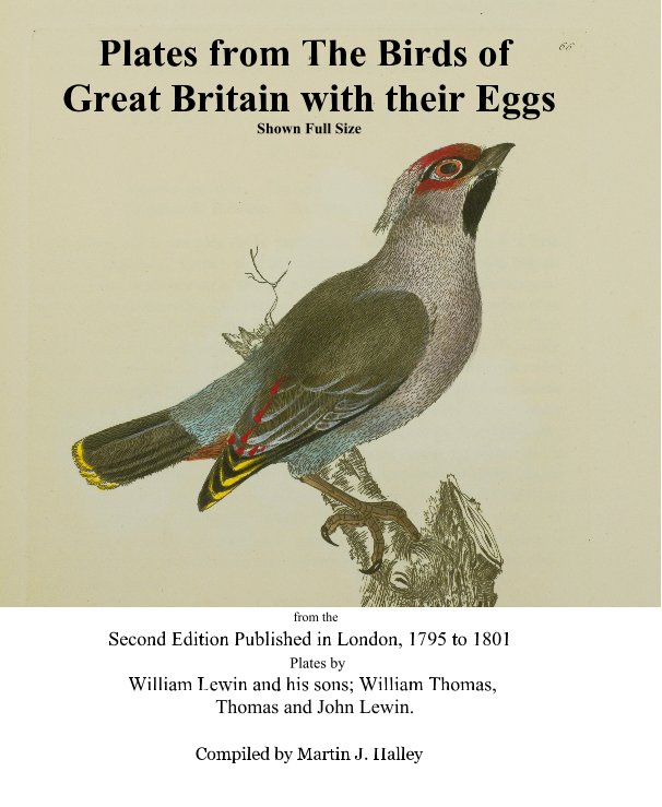 Bekijk Plates from The Birds of Great Britain with their Eggs Shown Full Size op Martin J. Halley (compiler)