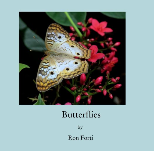 Ver Butterflies por Ron Forti