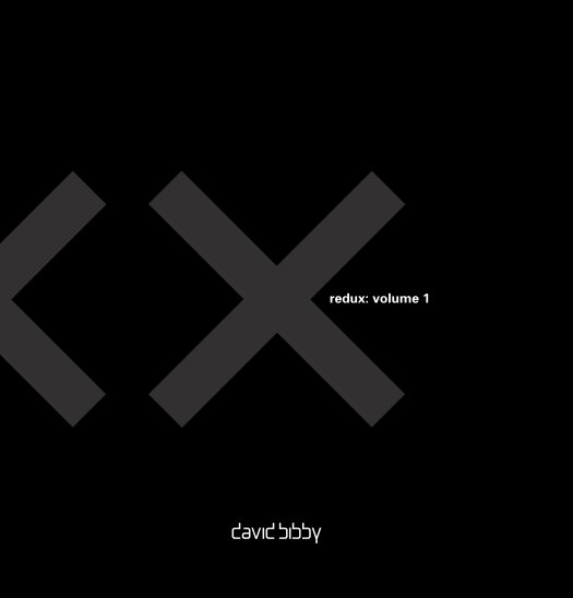 Visualizza XX: Volume 1 di David Bibby