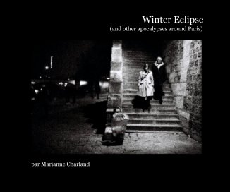 Winter Eclipse book cover