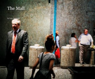 the mall book cover