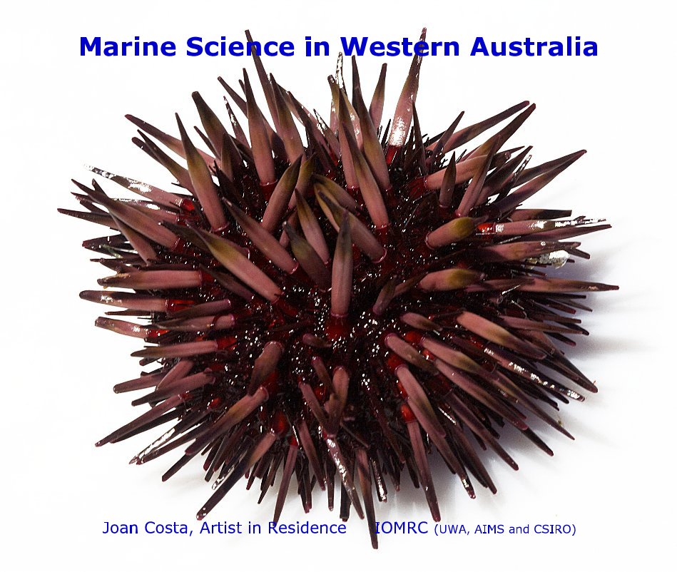 View Marine Science in Western Australia by Joan Costa, Artist in Residence IOMRC (UWA, AIMS and CSIRO)