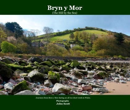 Bryn y Mor (The Hill by the Sea) book cover