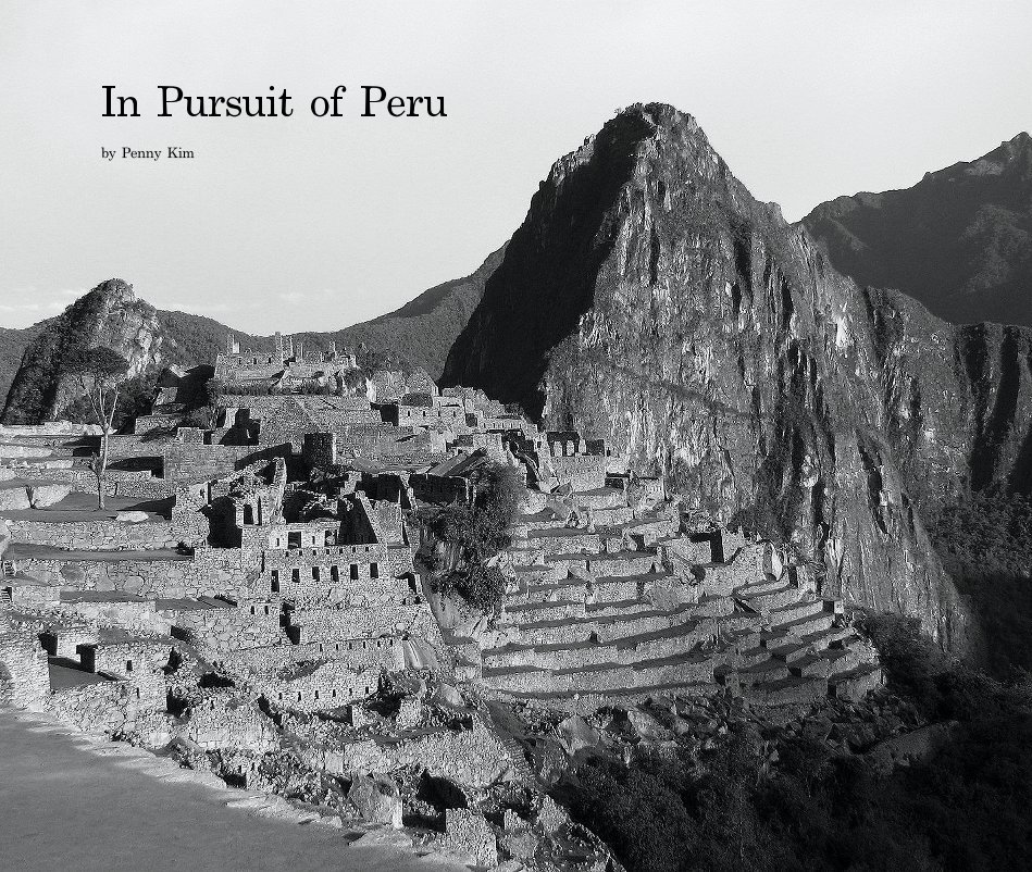 Visualizza In Pursuit of Peru di Penny Kim