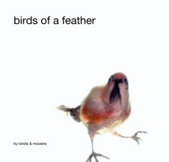 birds of a feather book cover