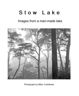 Stow Lake book cover