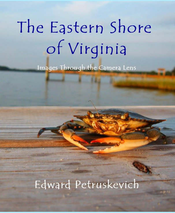 View The Eastern Shore of Virginia by Edward Petruskevich