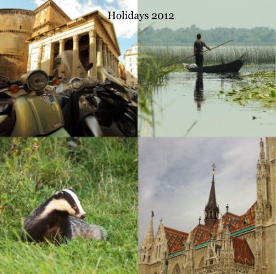 Holidays 2012 book cover
