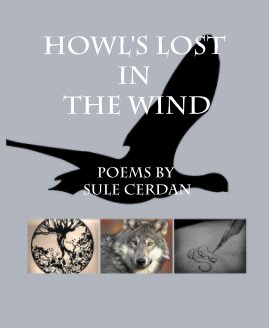 Howl's Lost in The Wind book cover