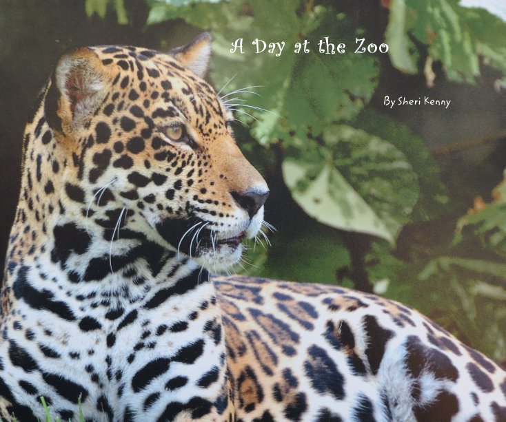 View A Day at the Zoo by Sheri Kenny