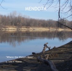 MENDOTA book cover