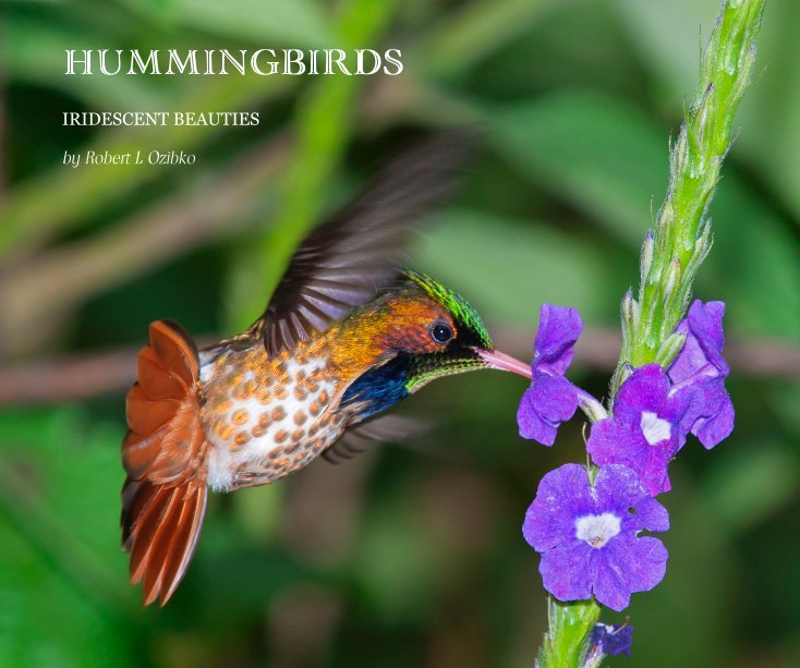 HUMMINGBIRDS by Robert L Ozibko | Blurb Books