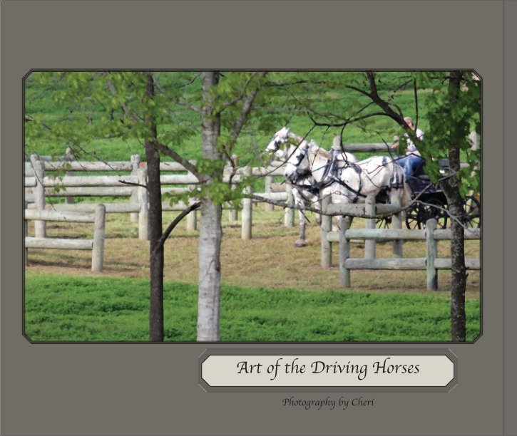 View Art of the Driving Horse by Cheri barr