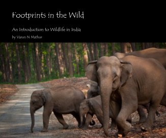 Footprints in the Wild book cover