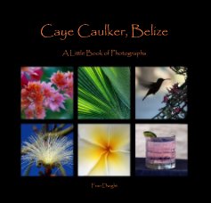 Caye Caulker, Belize book cover