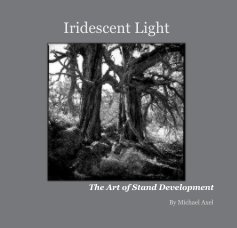 Iridescent Light book cover
