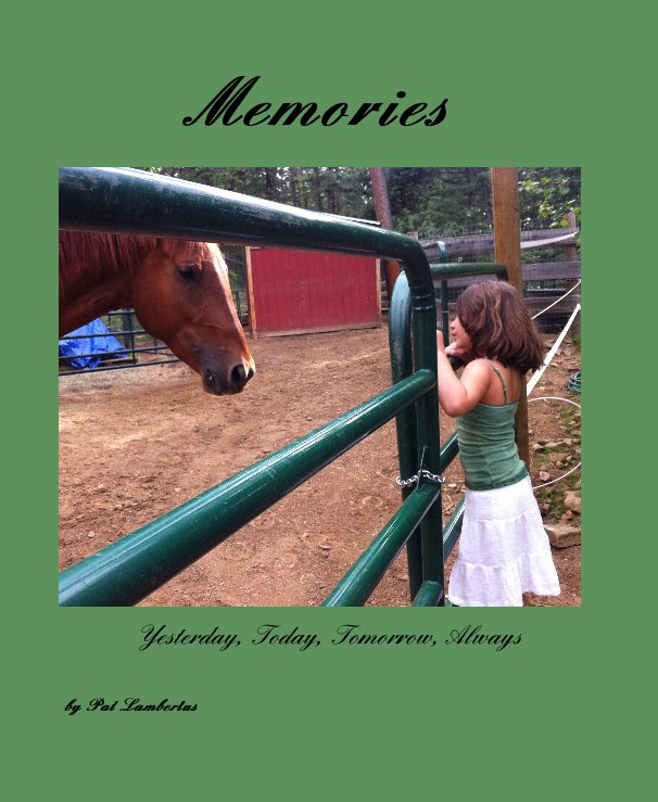 View Memories by Pat Lambertus