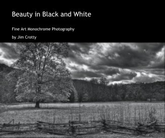 Beauty in Black and White book cover