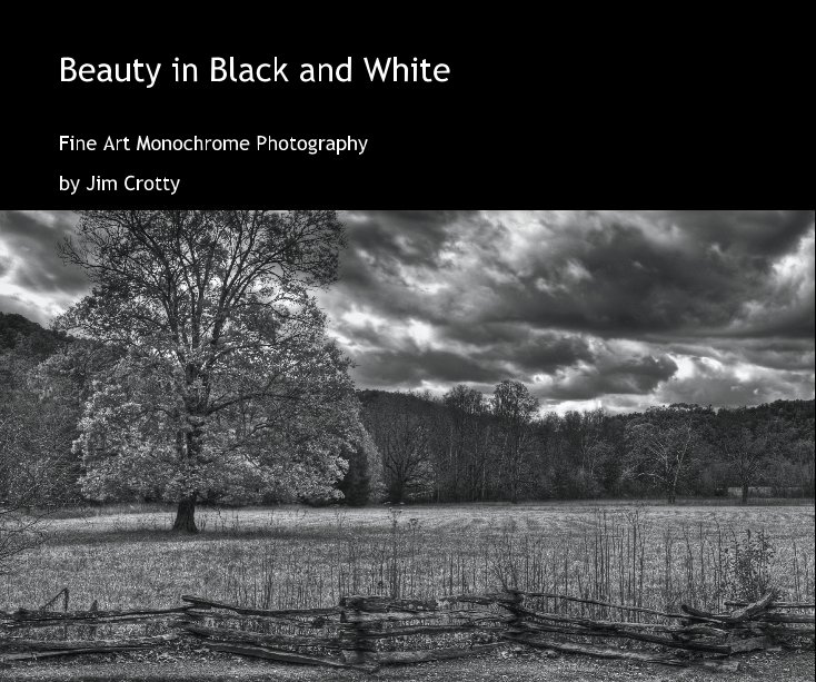 View Beauty in Black and White by Jim Crotty
