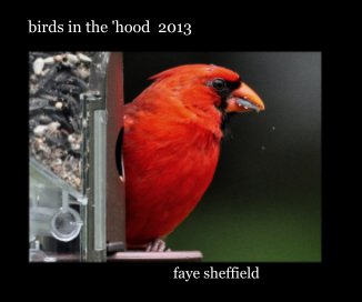 birds in the 'hood 2013 book cover