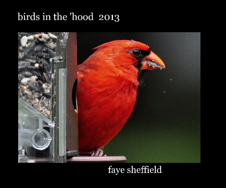 Visualizza birds in the 'hood 2013 di faye sheffield
