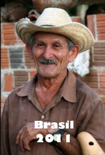 Brasil 2011 book cover