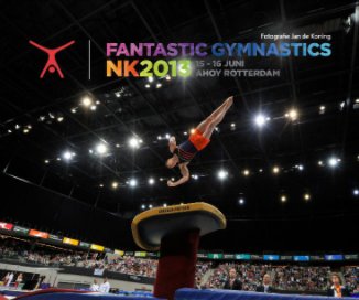Fantastic Gymnastics NK 2013 book cover