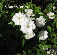 A Dozen Roses book cover