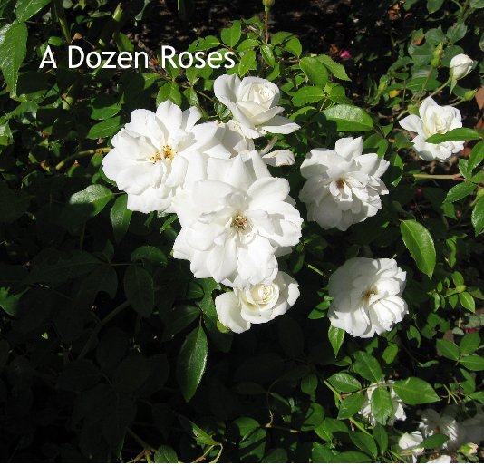 View A Dozen Roses by Mike Govette