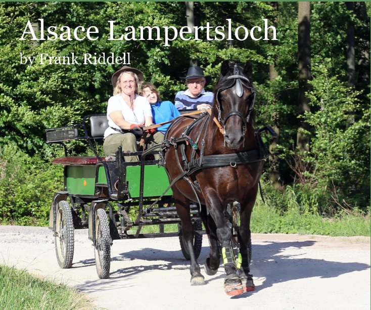 View Alsace Lampertsloch by Frank Riddell