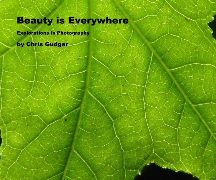 View Beauty is Everywhere by Chris Gudger