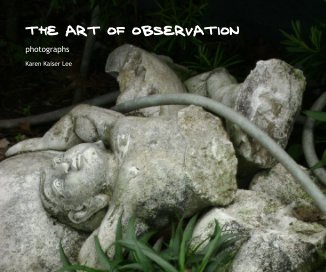 The Art of Observation book cover