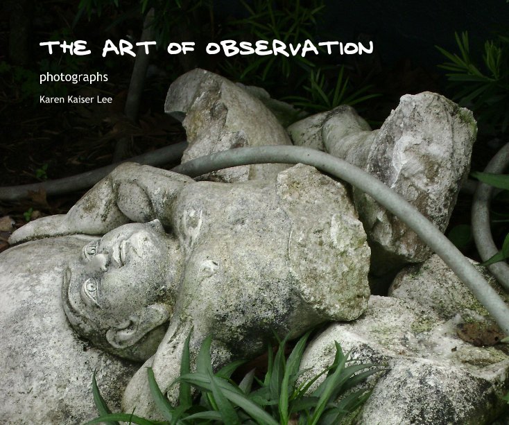 Ver The Art of Observation por Karen Kaiser Lee