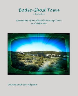 Bodie Ghost Town a dlAdventure book cover