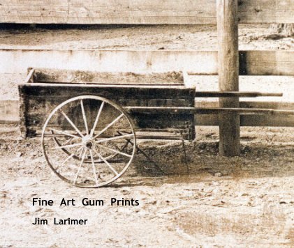 Fine Art Gum Prints book cover