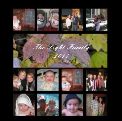 The Light Family 2011 book cover