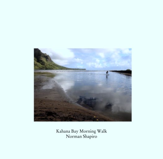 View Kahana Bay - Morning Walk by Norman Shapiro
