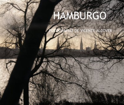 HAMBURGO book cover