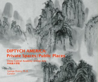 DIPTYCH AMERICA: Private Spaces/Public Places book cover