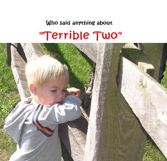 View Who said anything about "Terrible Two" by Grandma