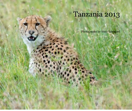 Tanzania 2013 book cover