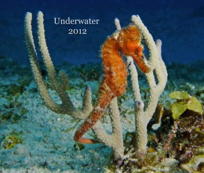 Underwater 2012 book cover