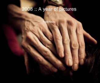 2008 :: A year of pictures book cover
