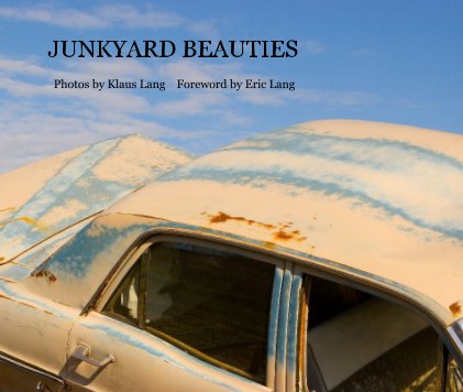 JUNKYARD BEAUTIES book cover