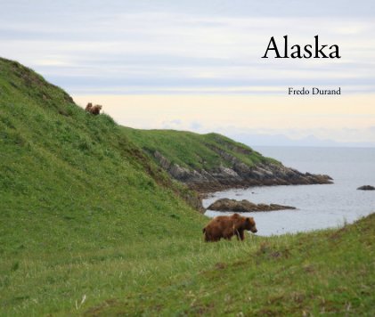Alaska book cover