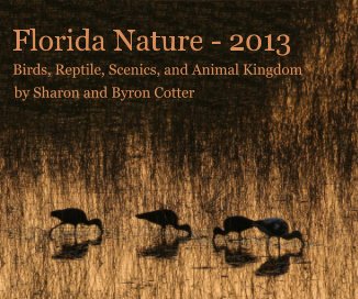 Florida Nature - 2013 book cover