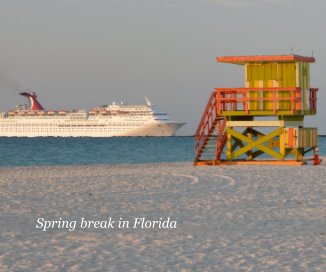 Spring break in Florida book cover