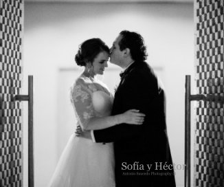 sofía y héctor book cover