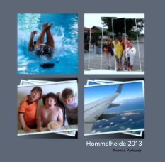 Hommelheide 2013 book cover