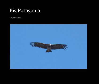Big Patagonia book cover